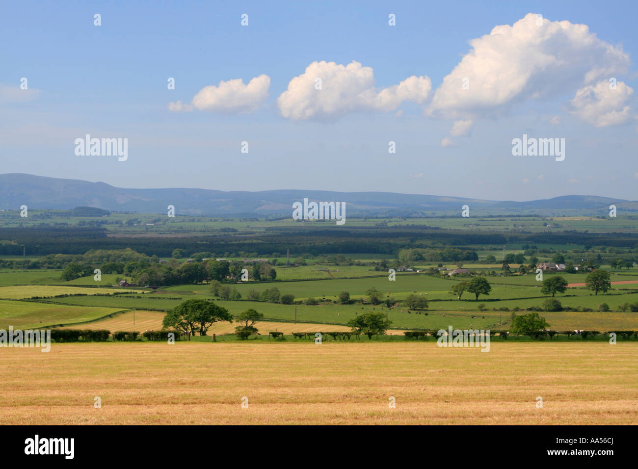 Dumfries and galloway rolling countryside high summer agriculture