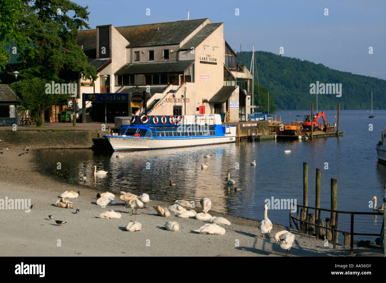 lake windermere birds on beach bowness cumbria lake district england uk