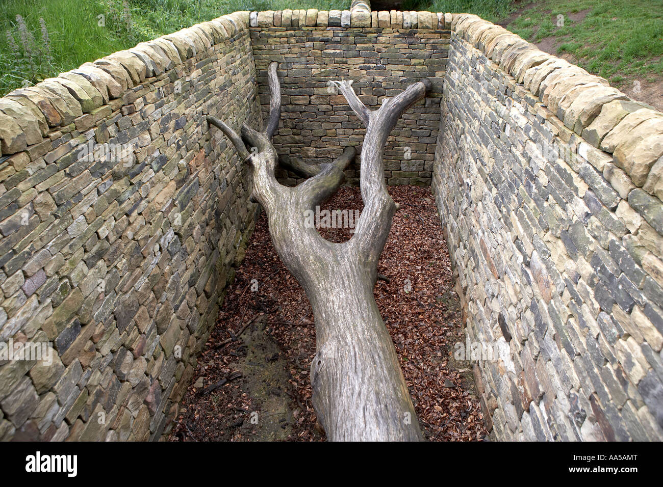 Hanging Trees by Andy Goldsworthy Oxley Bank Yorkshire Sculpture Park Bretton South Yorkshire UK Stock Photo