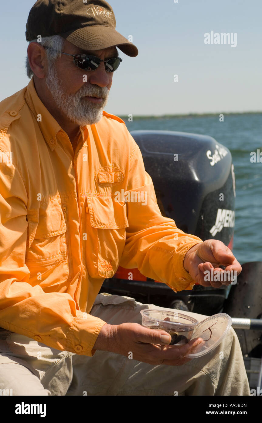 https://c8.alamy.com/comp/AA5BDN/an-angler-picks-out-a-leech-to-bait-his-hook-for-walleyes-lake-mille-AA5BDN.jpg
