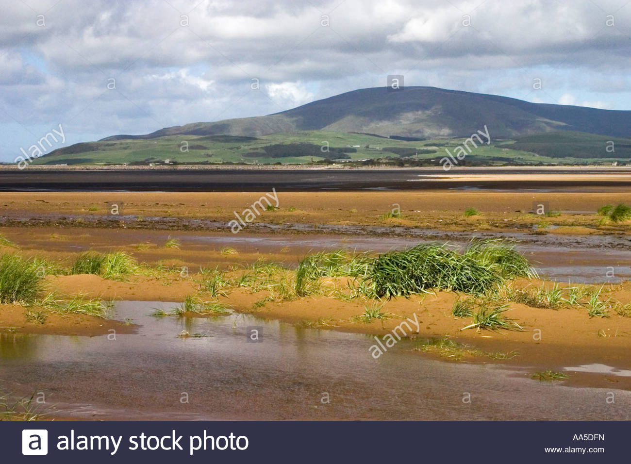duddon tributary strange horticulture duddon tributary strange horticulture
