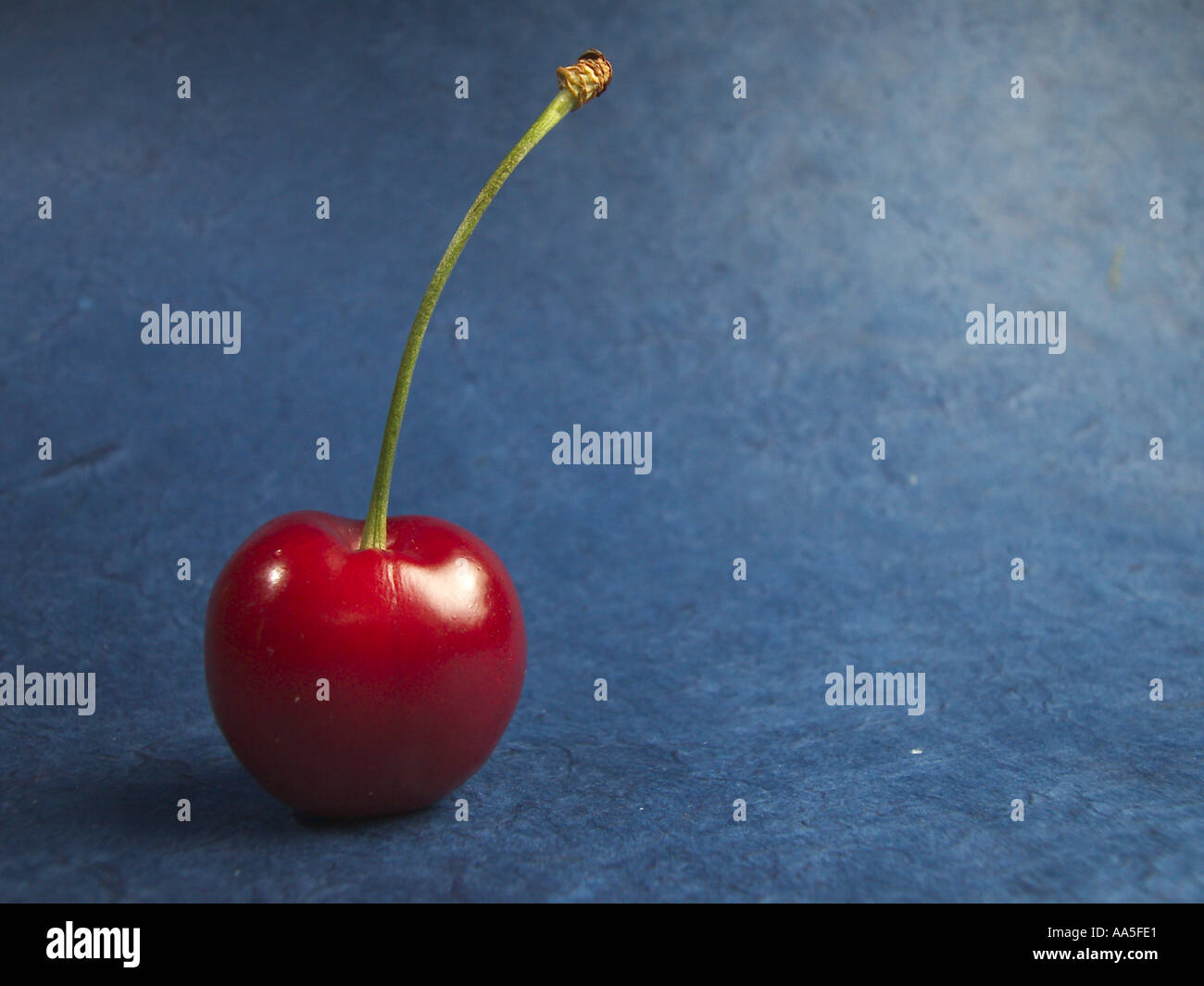Cherry Stock Photo