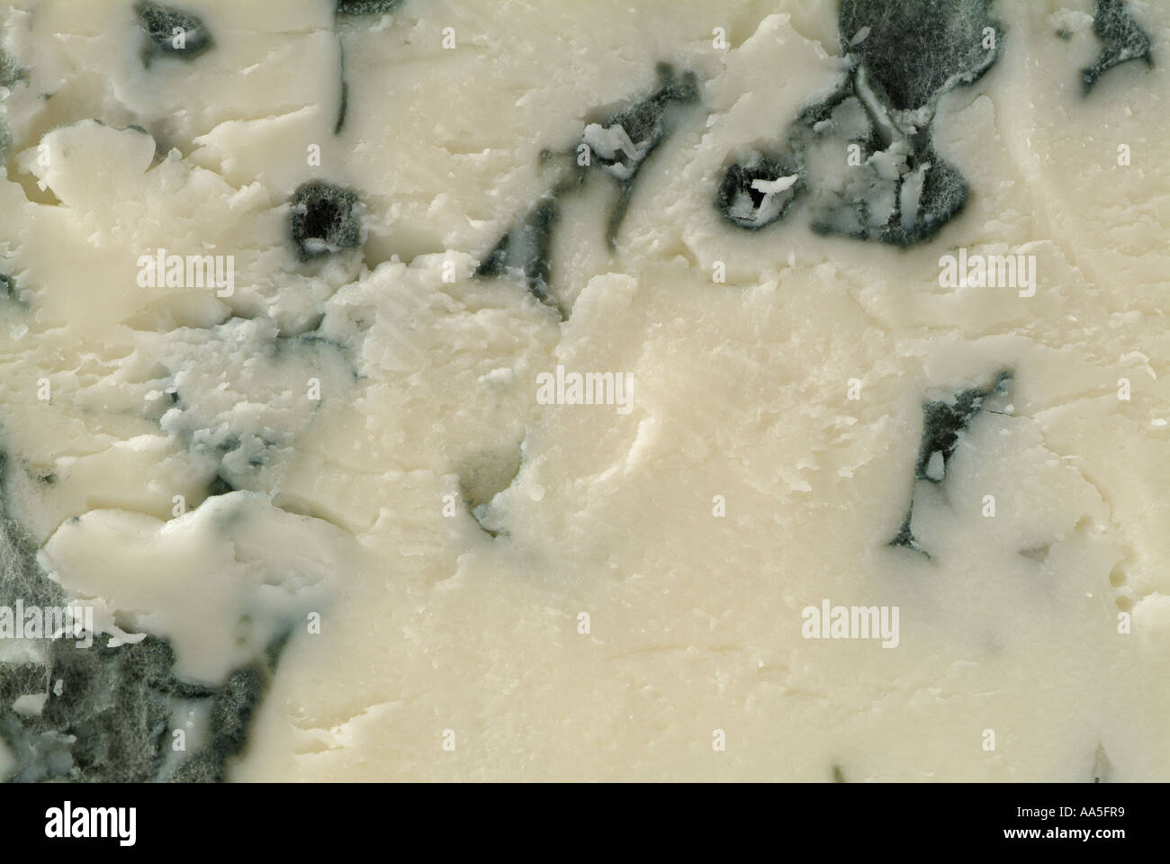 Bleu Auvergne Cheese, Close Up Stock Photo