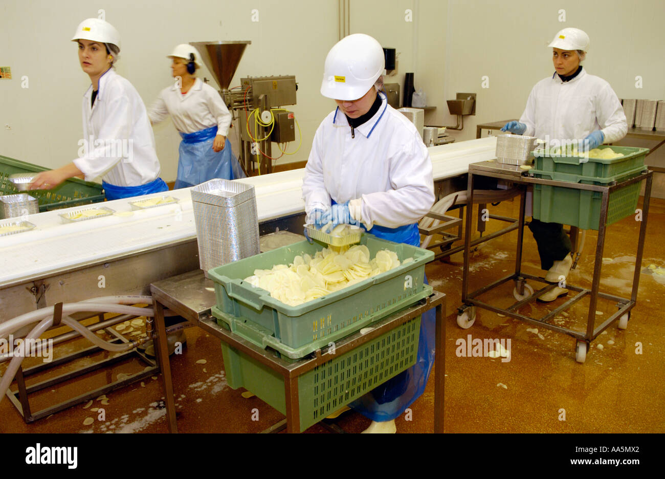 Women working on Potato Gratin production line at company making chilled ready meals for sale in supermarkets in UK Stock Photo