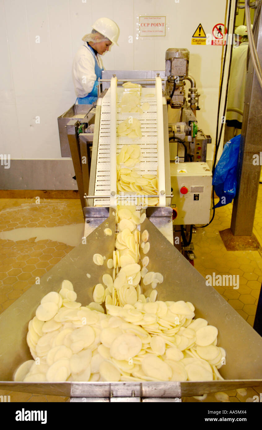 Woman working on potato Aloo Pakora production line at company making ...