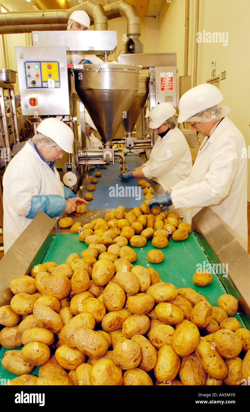 Baked potato production line at factory making chilled ready meals in UK Stock Photo