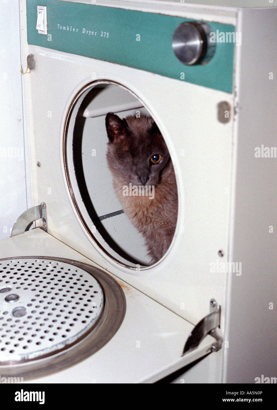 Tumble drier hires stock photography and images Alamy