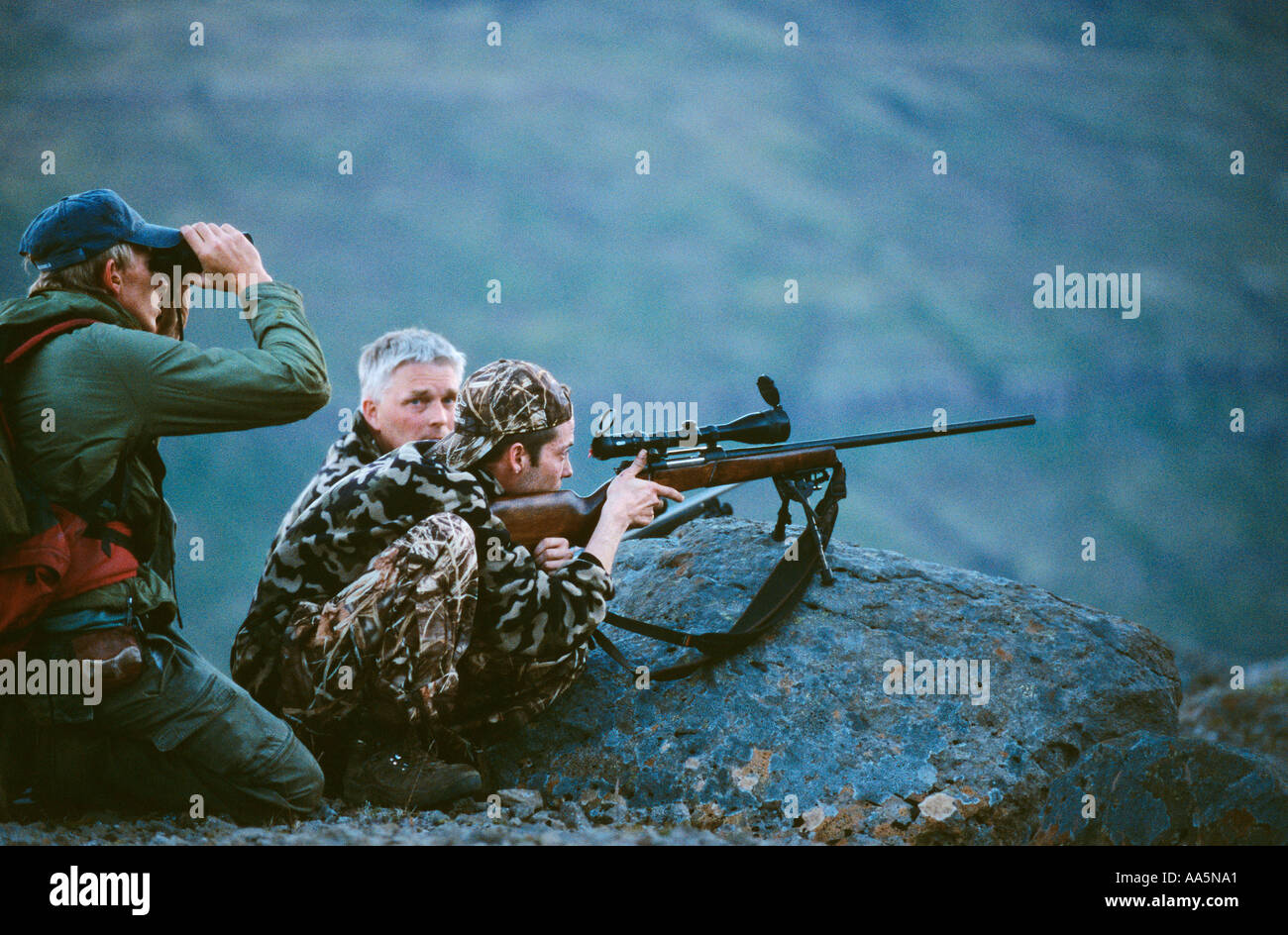 Reindeer hunting in East Iceland on the hills of Mjoifjord Stock Photo