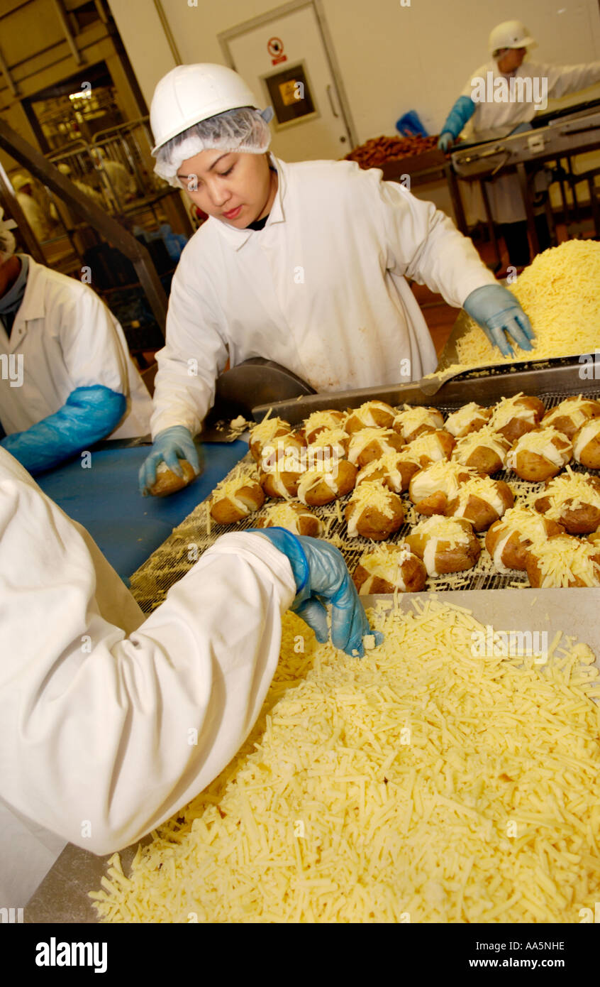 Baked potato production line at company making chilled ready meals in Newport South Wales UK GB Stock Photo