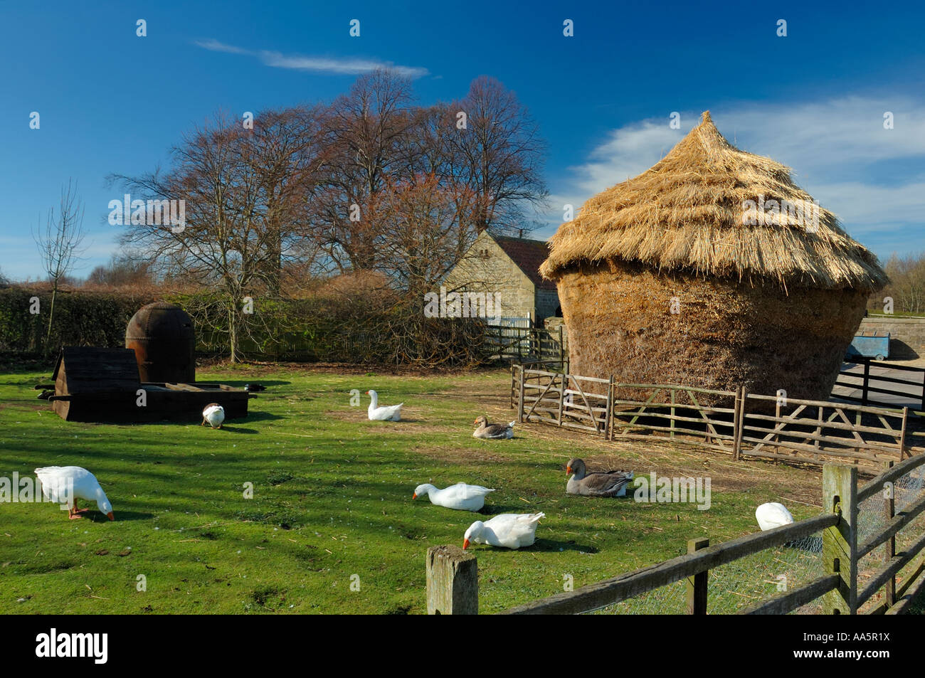 A traditional haystack in an English farmyard Stock Photo - Alamy