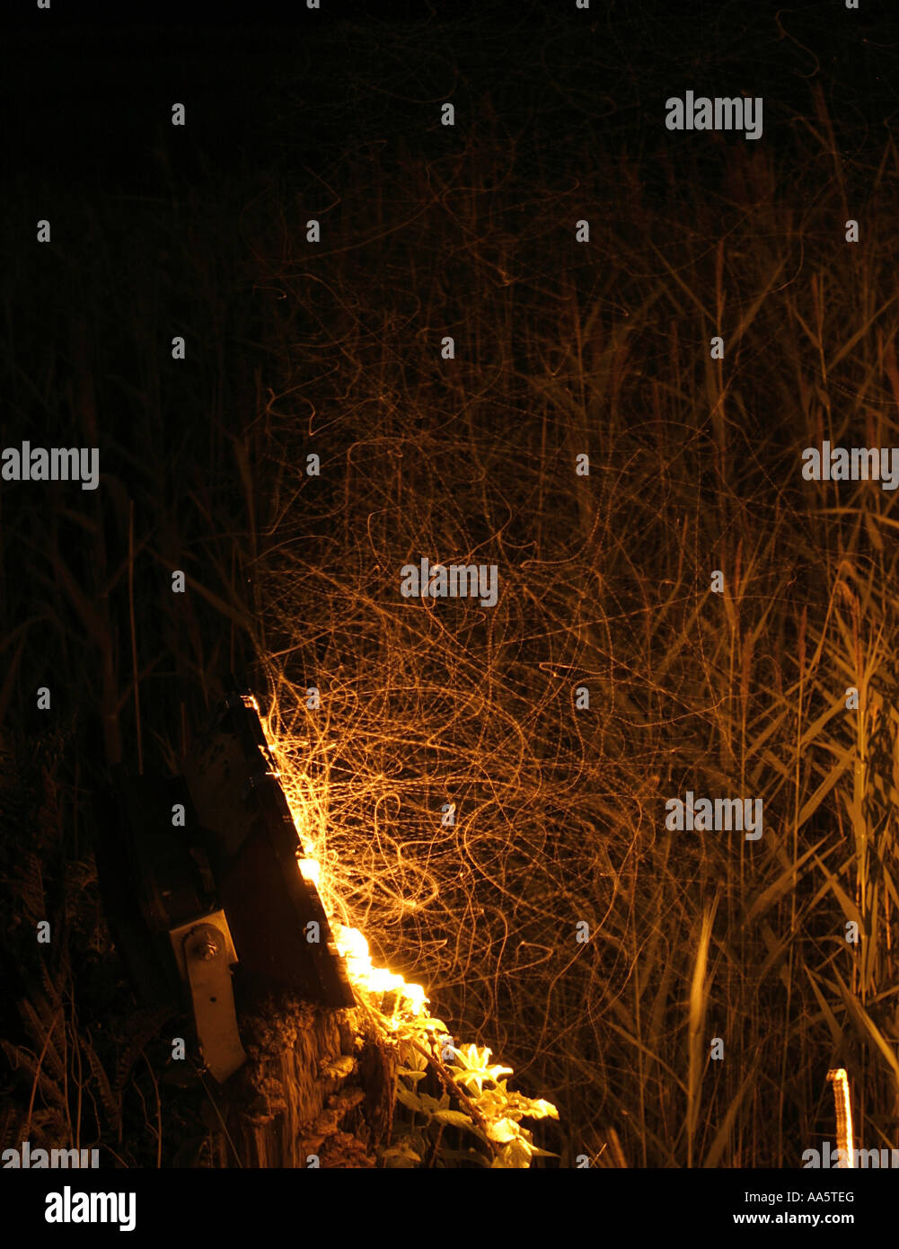 night fliers in action ireland stock photo 12524007 alamy night fliers
