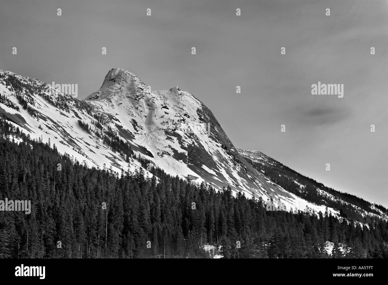 Traditional black and white landscape of the Rocky Mountains in British ...