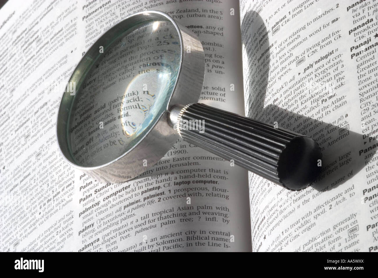 A black and white image of a magnifying glass on an open book Stock Photo
