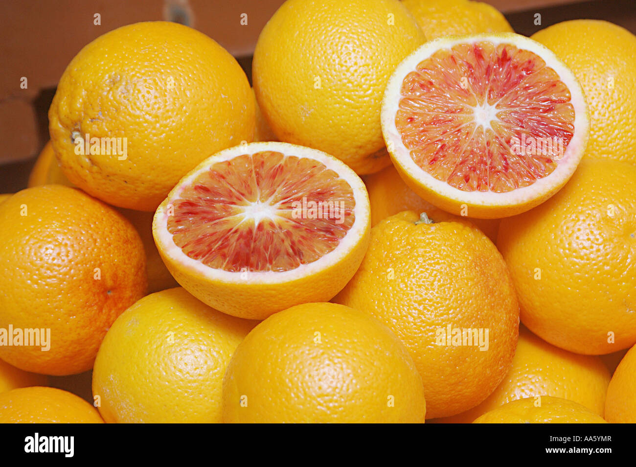 ANG103992 Nature Fruit Blood Orange Citrus Sinensis Rutaceae Stock Photo