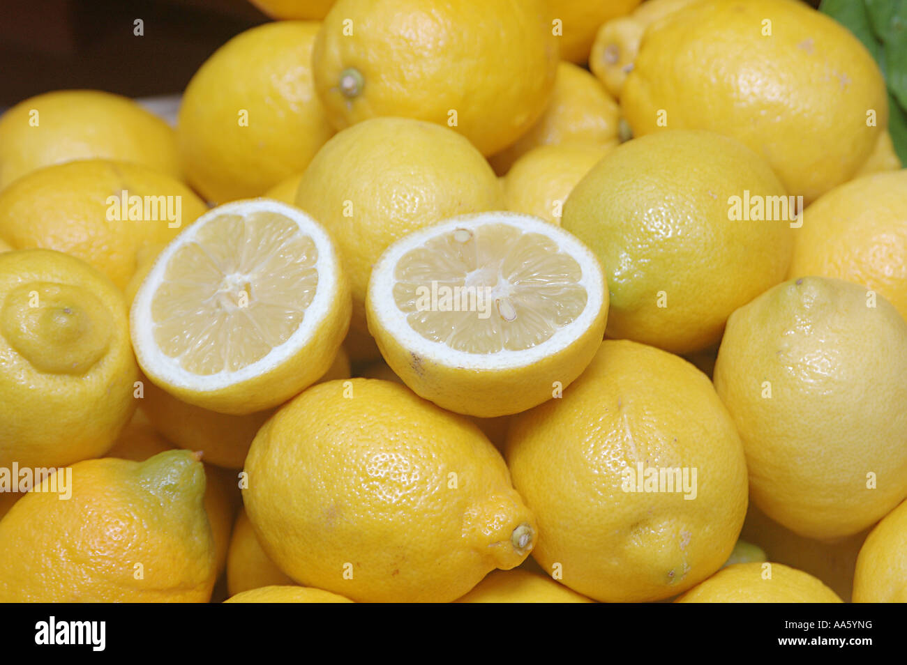 Lemon fruit, Citrus Limon Stock Photo
