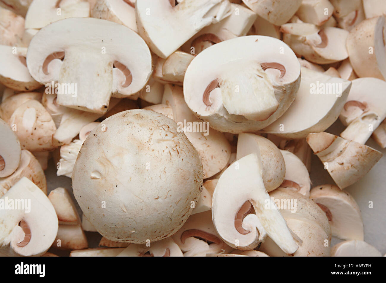 White button mushroom cut and chopped Stock Photo