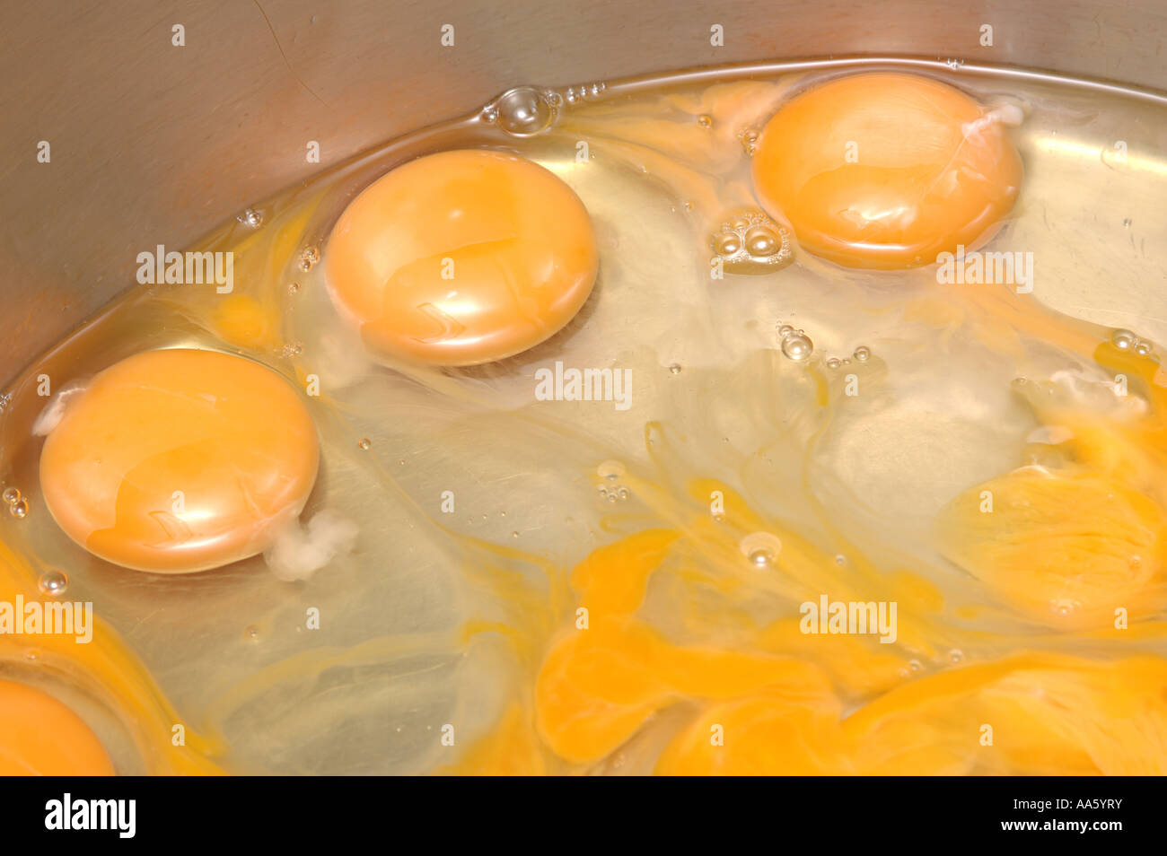 Egg white and yolk in steel po Stock Photo