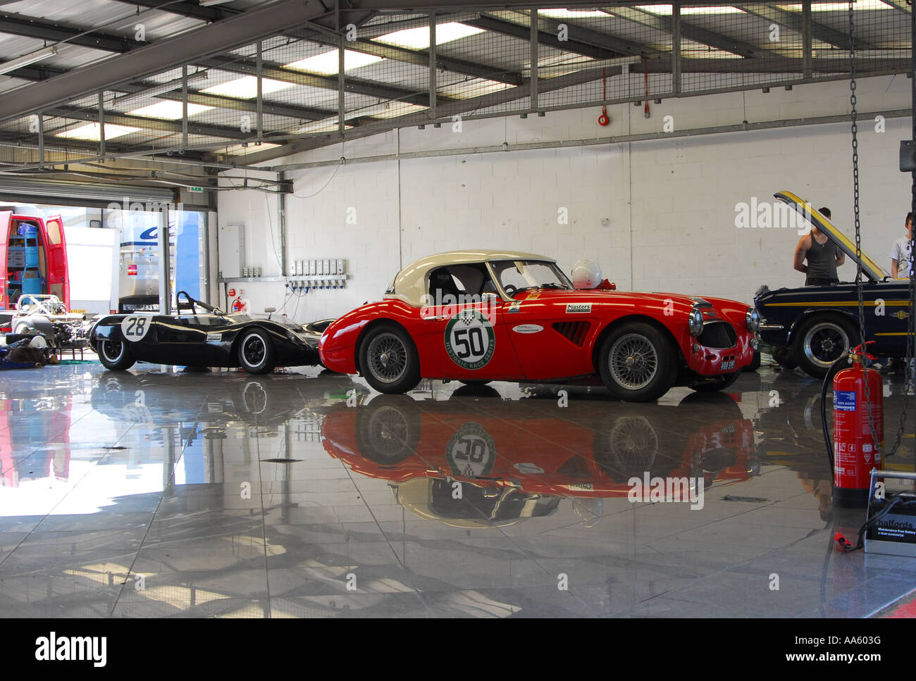Austin Healey 3000 in the pit garage at Silverstone Stock Photo Alamy