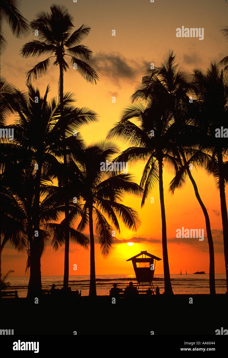 Lifeguard waikiki beach oahu hawaii hi-res stock photography and images ...
