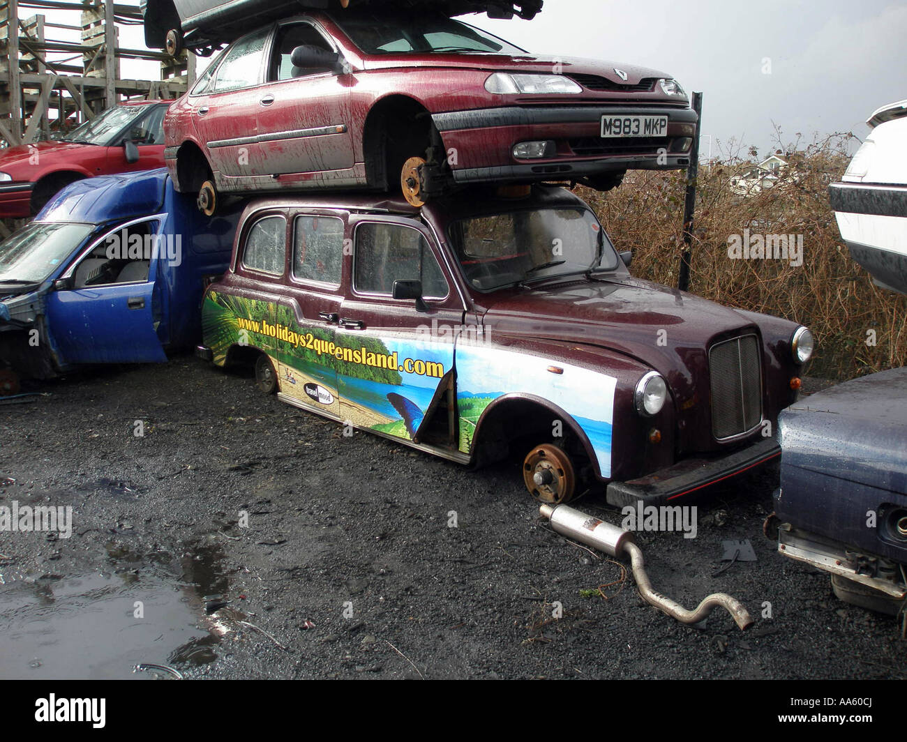 wrecked Renault Laguna on a London Taxi cab at the bottom of a stack of cars in a scrapyard Stock Photo