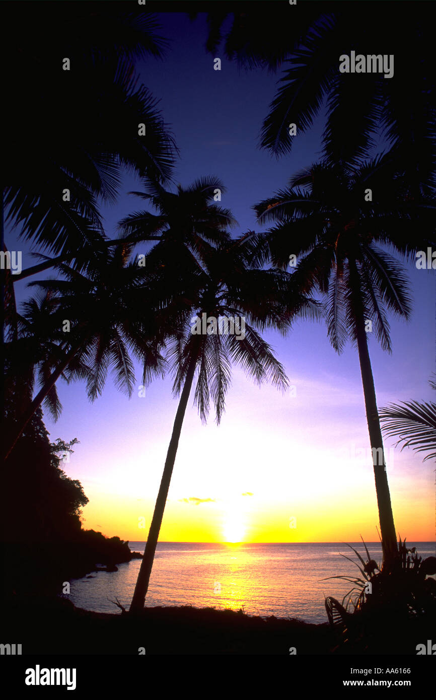 Kadavu Island High Resolution Stock Photography and Images - Alamy