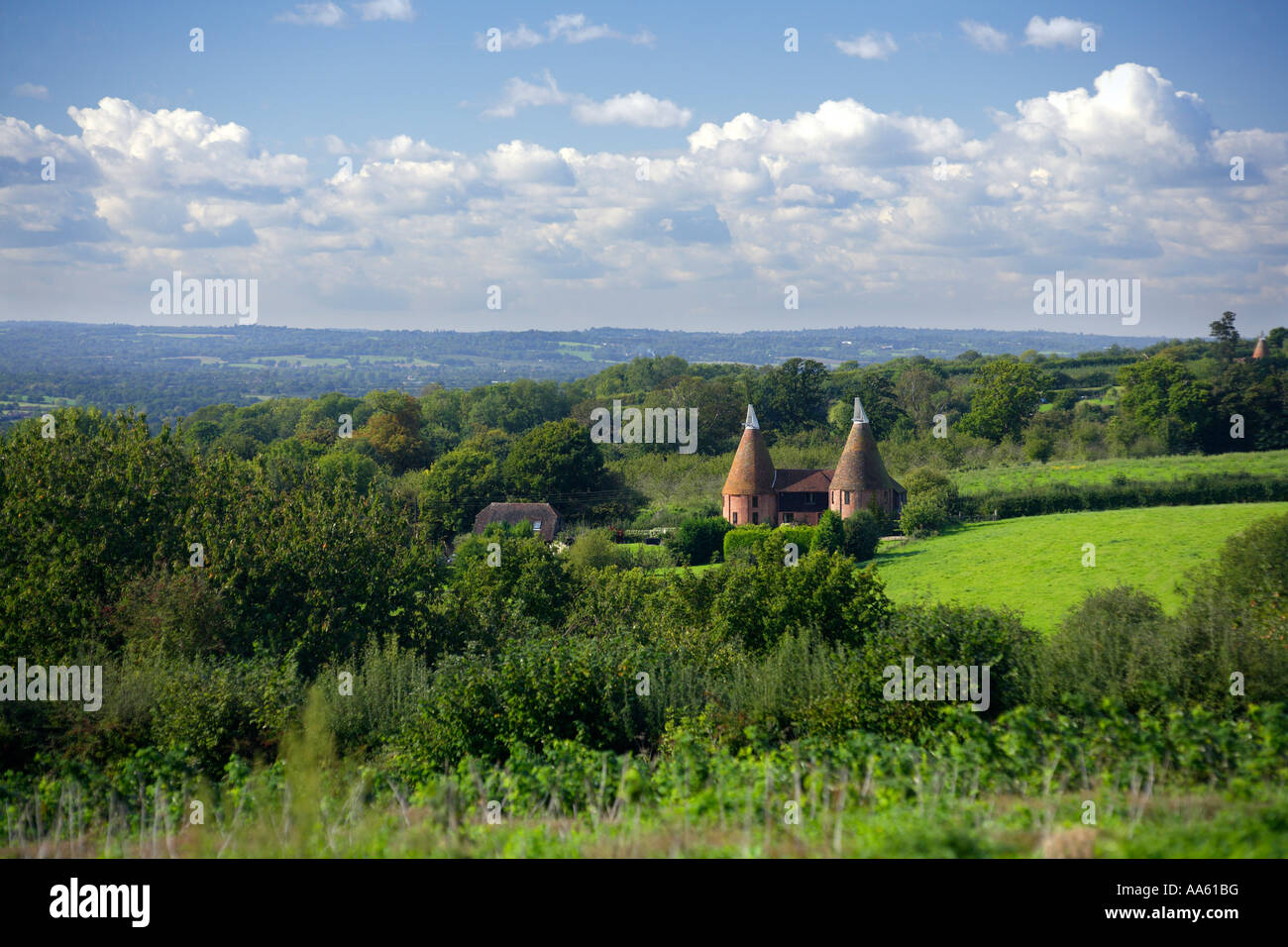 View over Kent countryside to the High Weald, with Oast Houses at