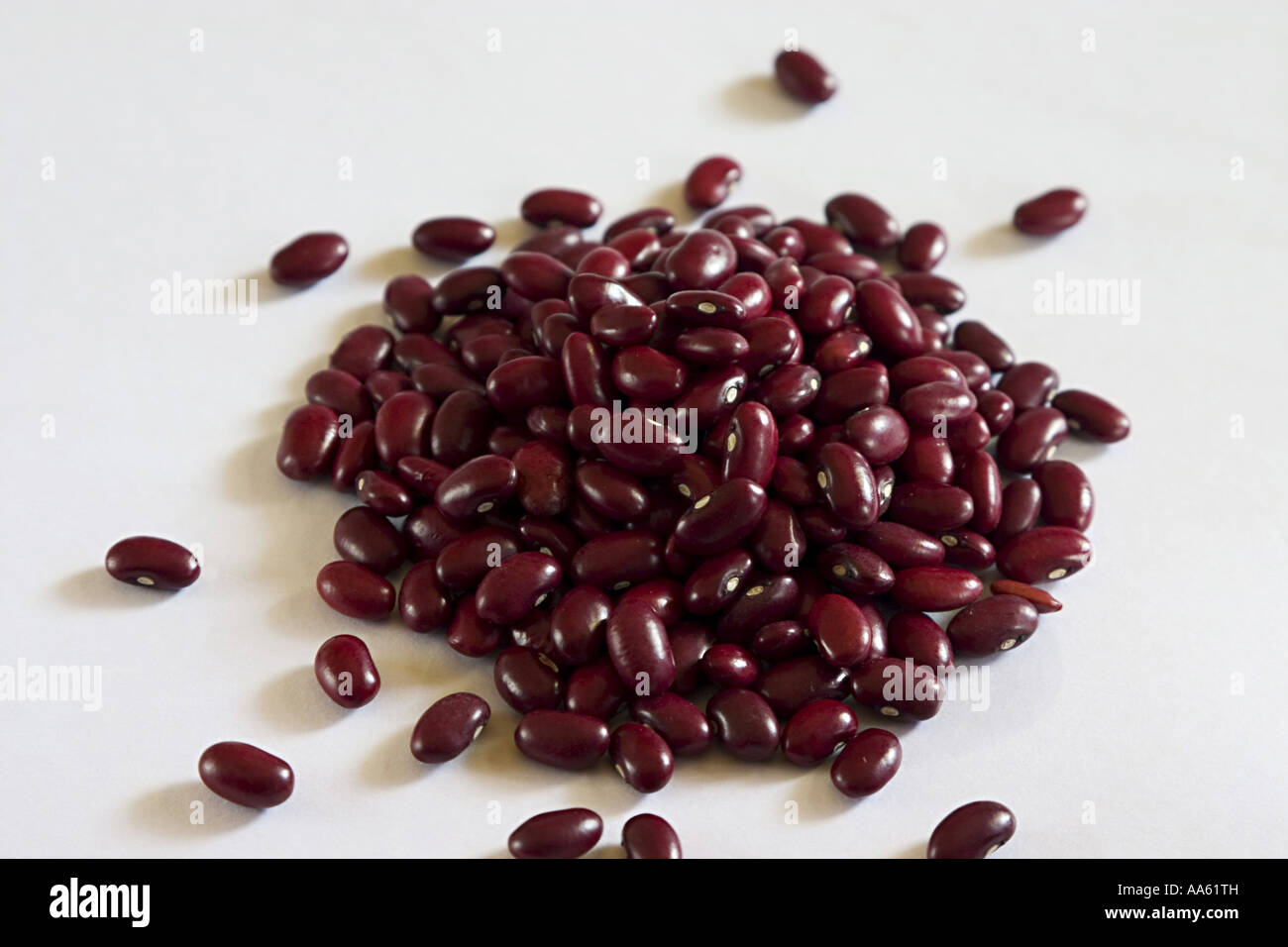Beans Rajma Red Kidney Beans Phaseoius vulgaris India Stock Photo