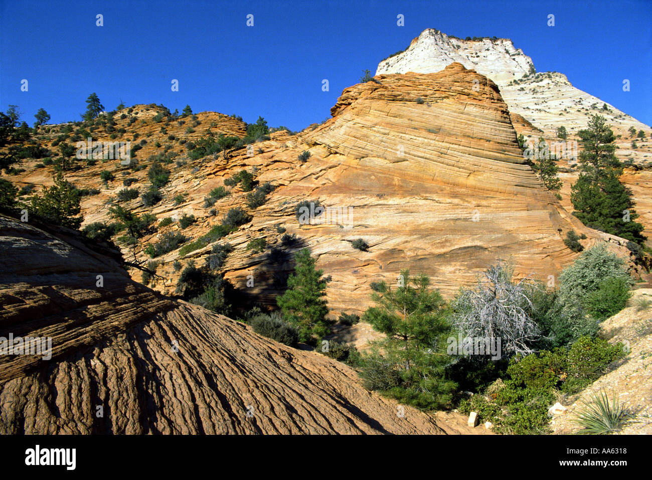 USA Utah Zion National Park Stock Photo