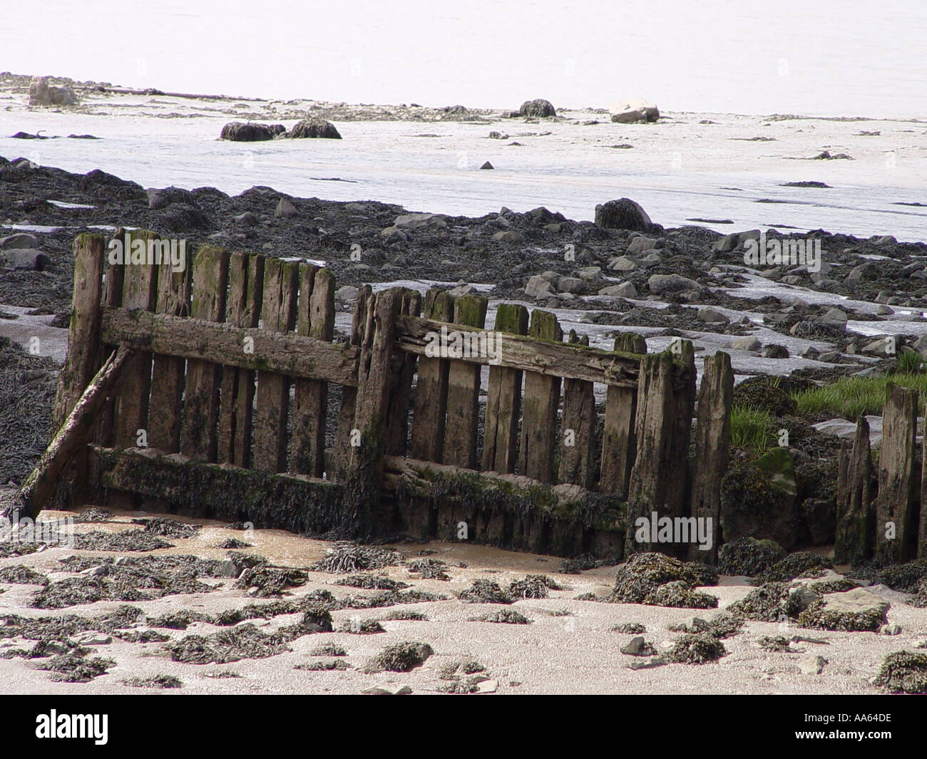 Old aust ferry hi-res stock photography and images - Alamy