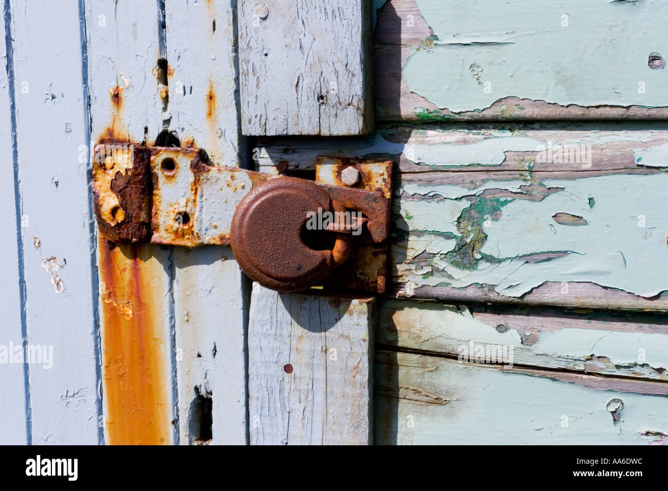 A rusty padlock on a door with peeling,faded blue paint Stock Photo