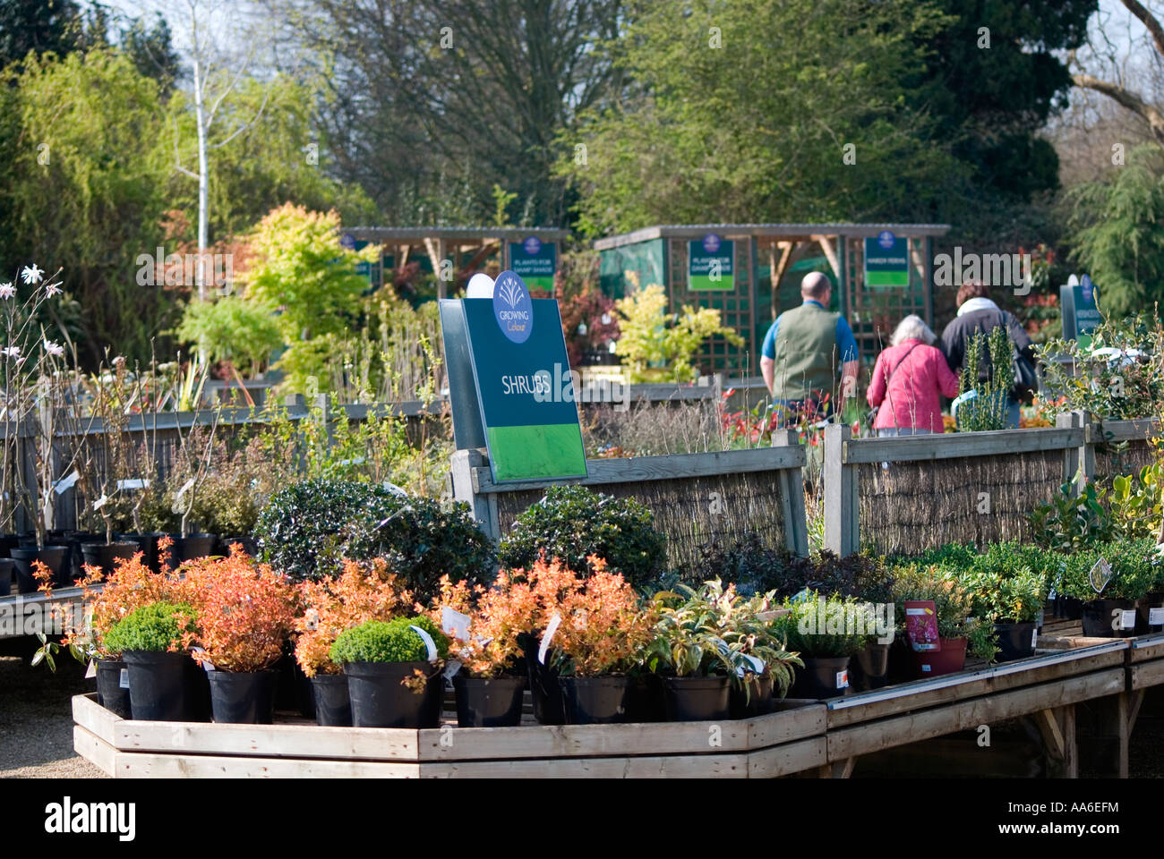 Garden centre plants hires stock photography and images Alamy