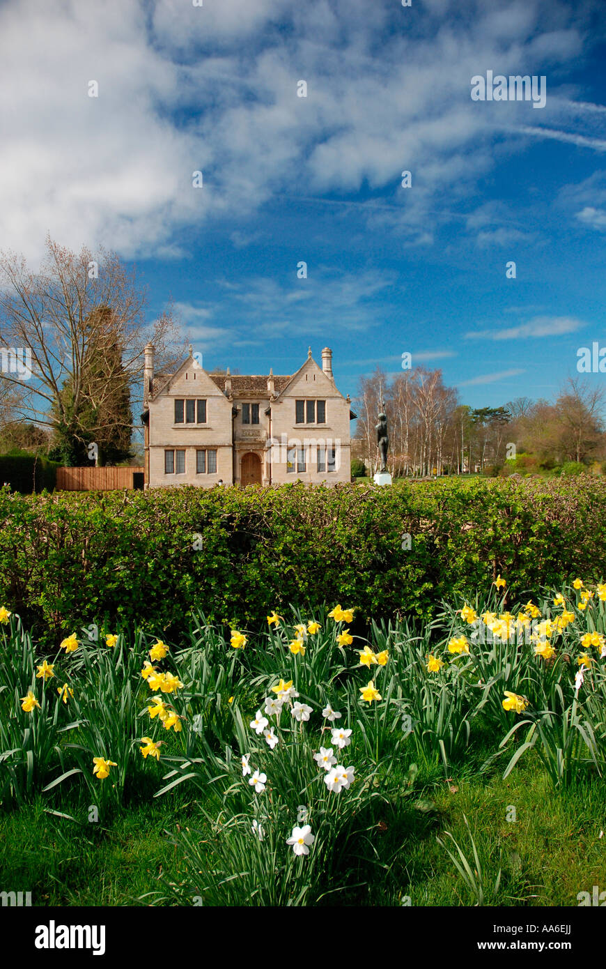 Daffodils and Oundle School Yarrow Gallery Stock Photo
