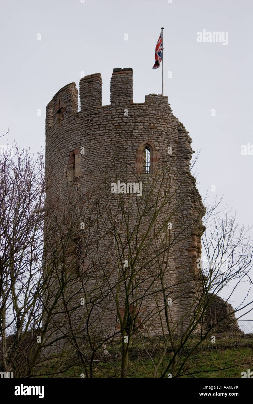 Dudley Castle Tower Stock Photo