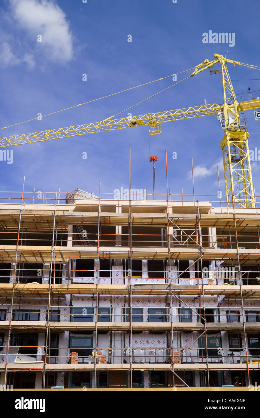 V vertical portrait building construction cranes docks scaffolding