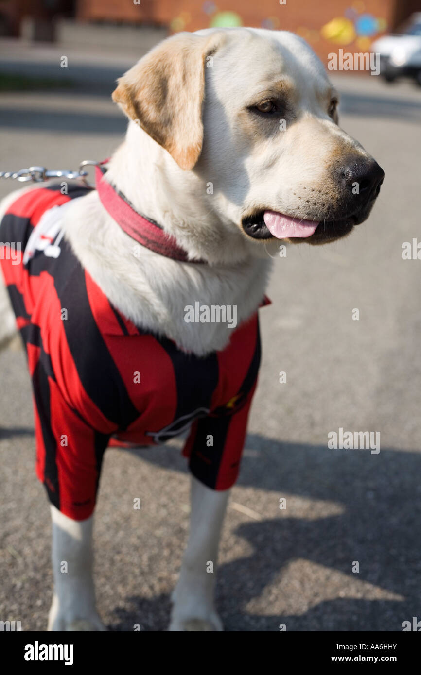 A C Milan Mascot Stock Photo Alamy