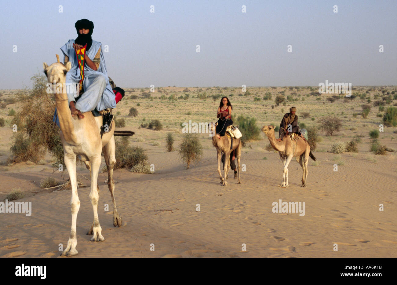 Camel Trekking Timbuktu Sahara Desert MALI Stock Photo Alamy camel-trekking-timbuktu-sahara-desert-mali-stock-photo-alamy