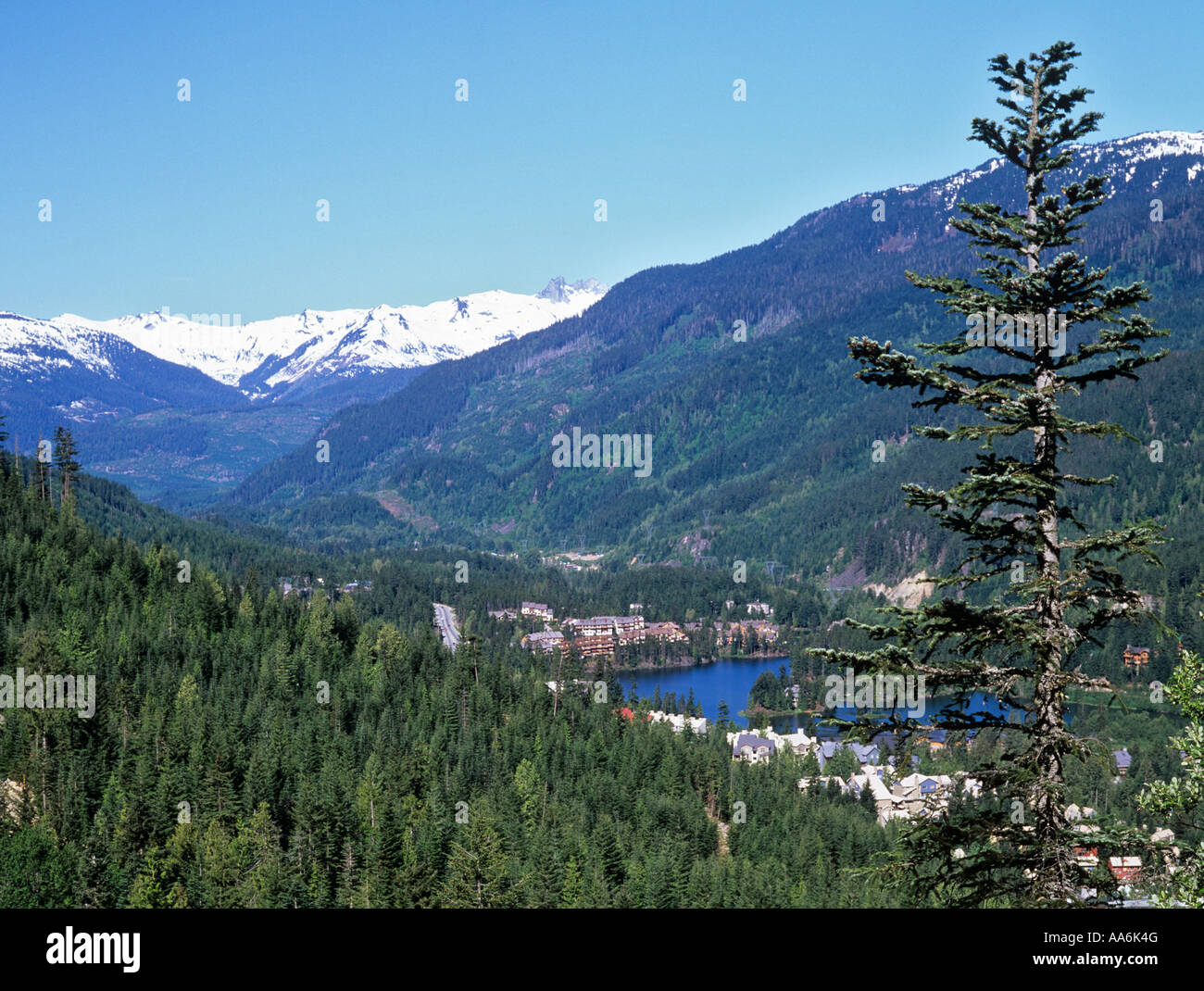 WHISTLER VALLEY Alpha Lake and Whistler Creekside from Talliswood