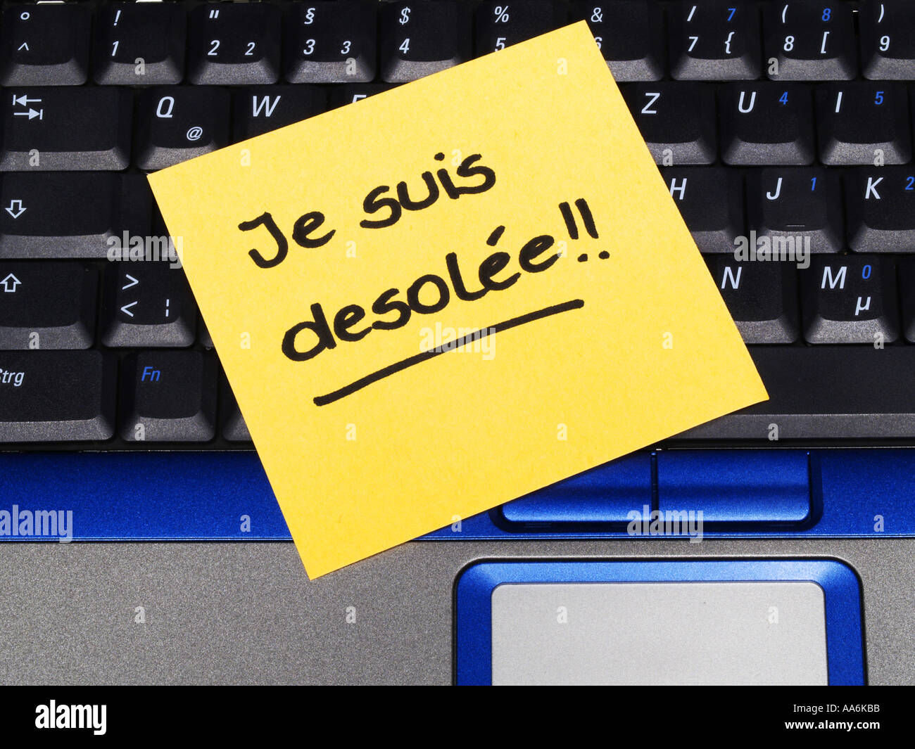 memo note on notebook, Je suis desolee I am sorry Stock Photo