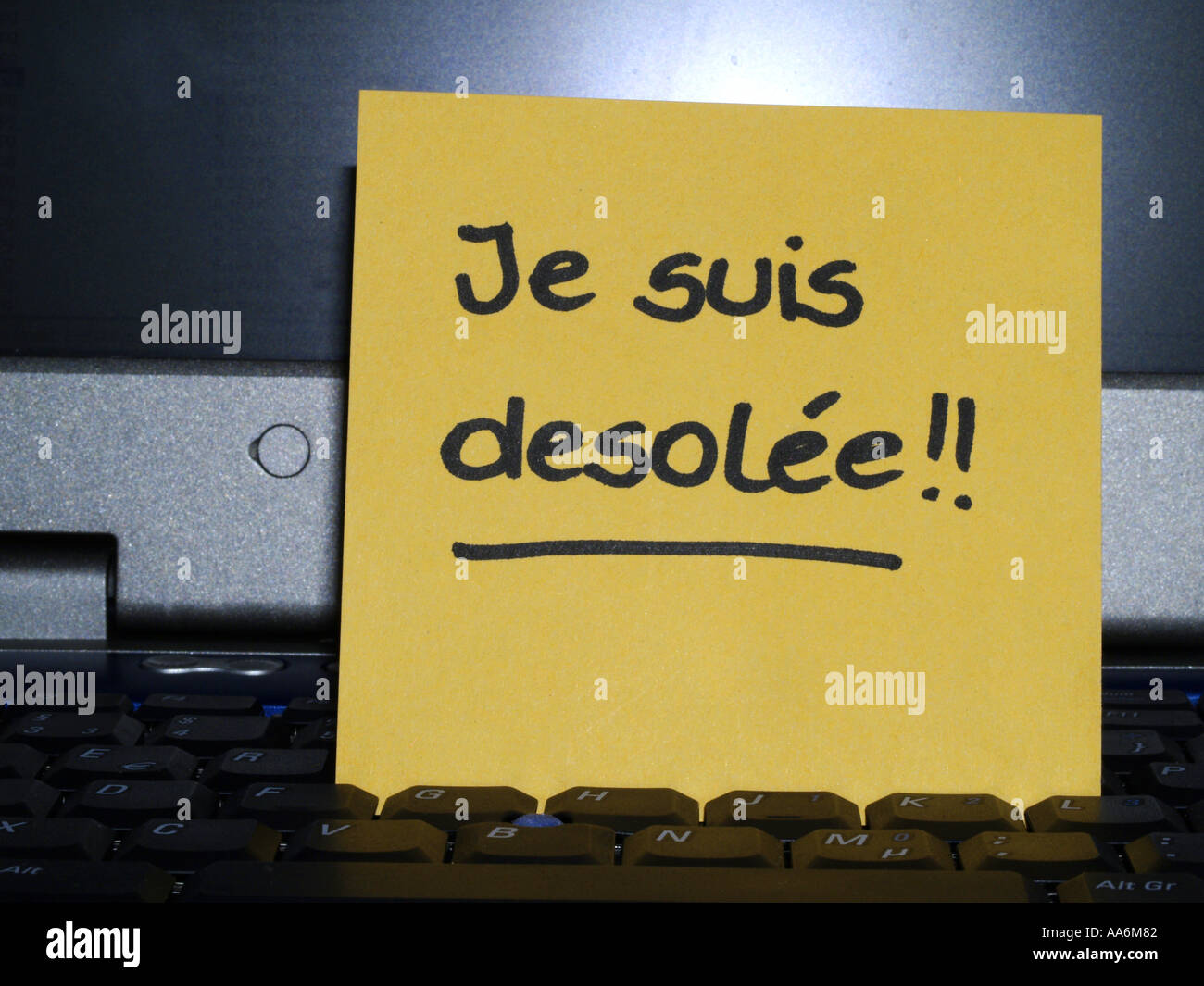 memo note on notebook, Je suis desolee, I am sorry Stock Photo