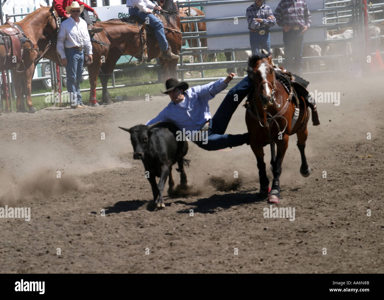 Black tears horse hires stock photography and images Alamy