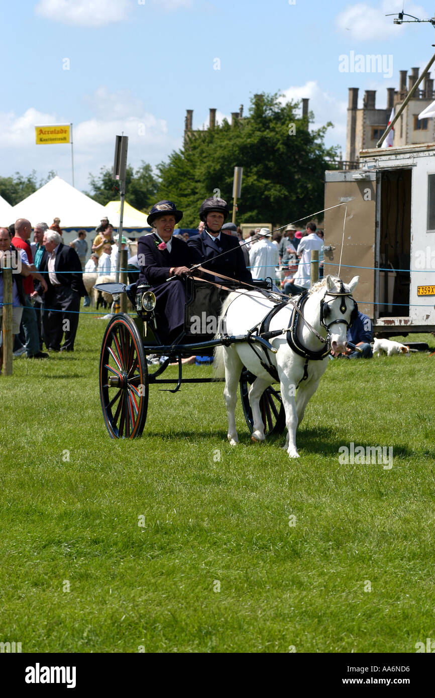 Pony and trap being driven in competition area Stock Photo