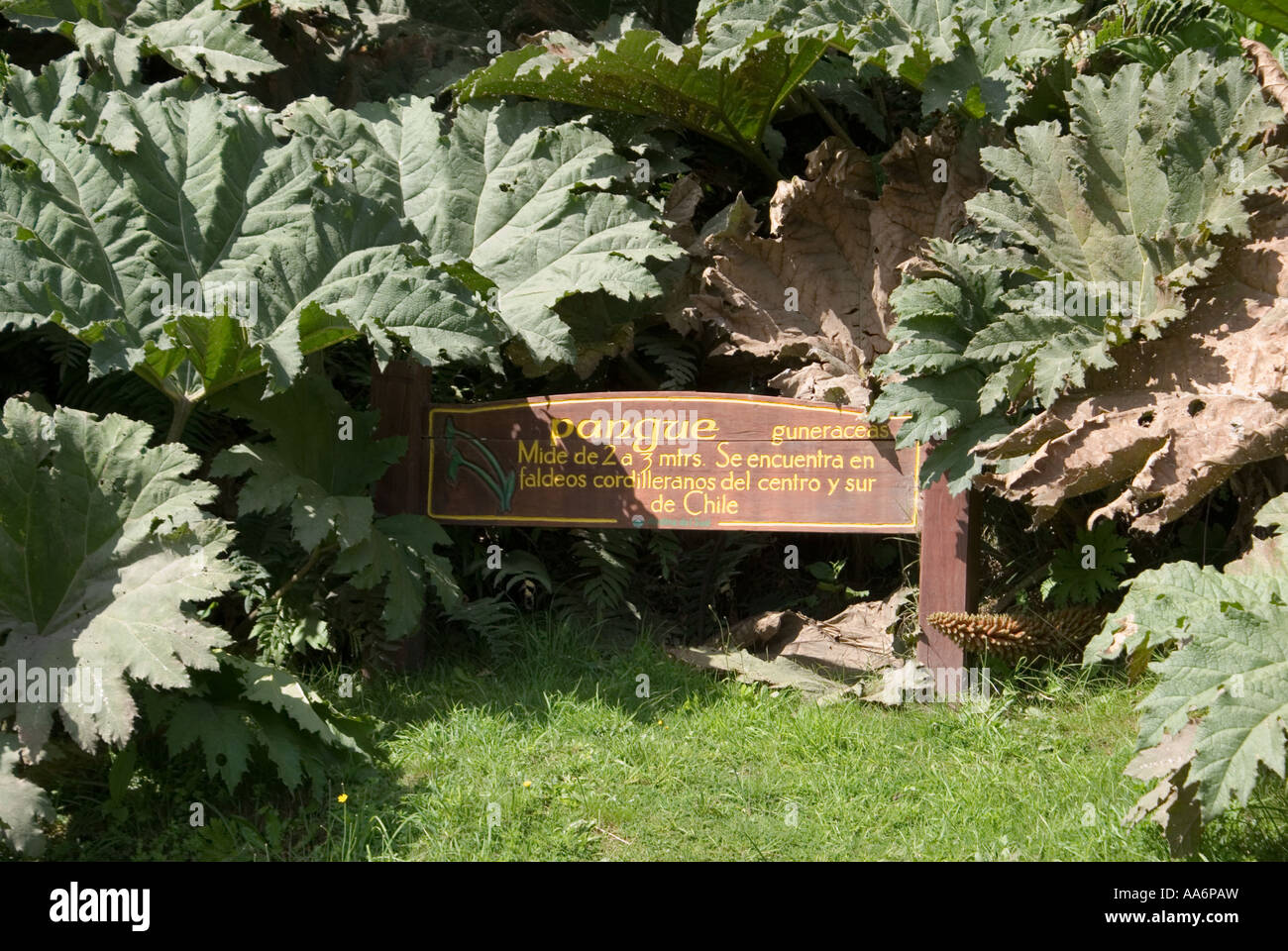 Los Lagos 4907 Stock Photo