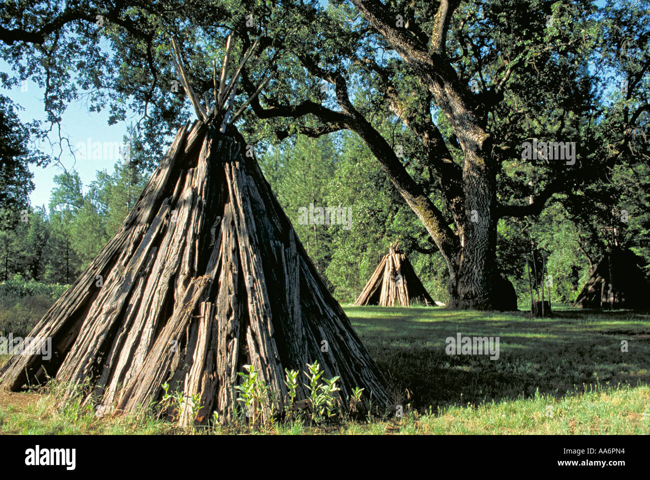 Elk240 1531 California Motherlode Volcano Indian Grinding Rock State