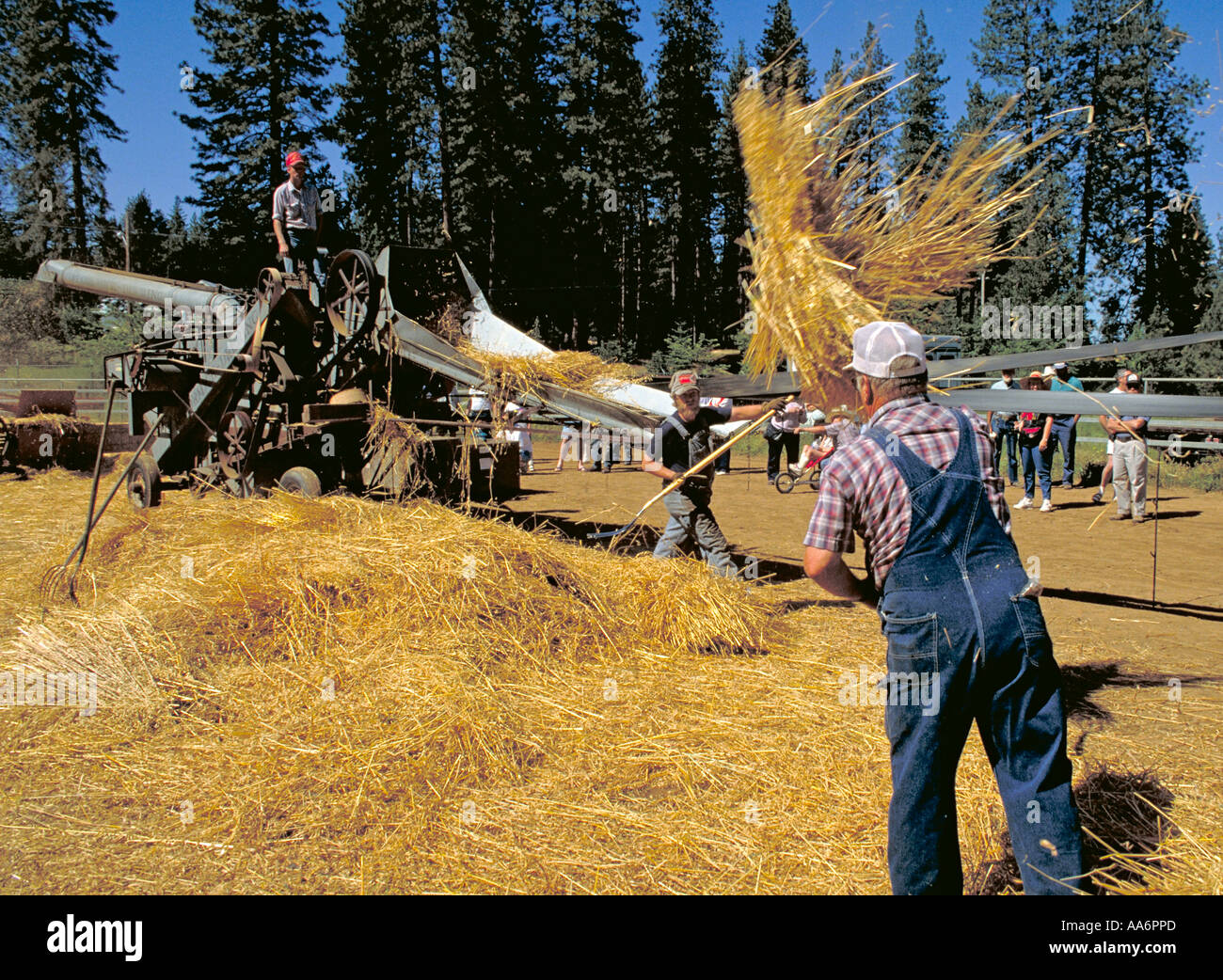 Elk240 1798 California Motherlode Grass Valley National Gathering of