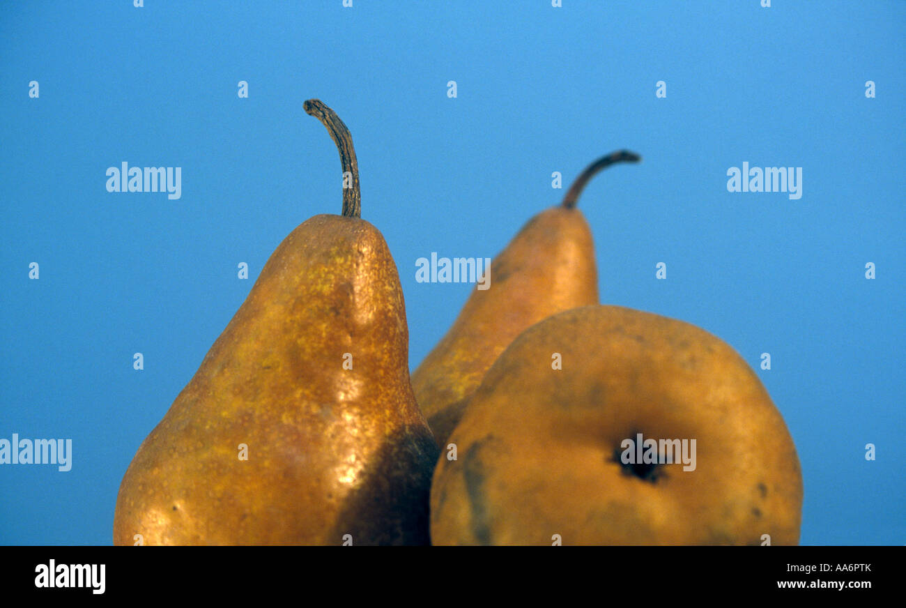 Super Ripe Pears Pears plump hi-res stock photography and images - Alamy