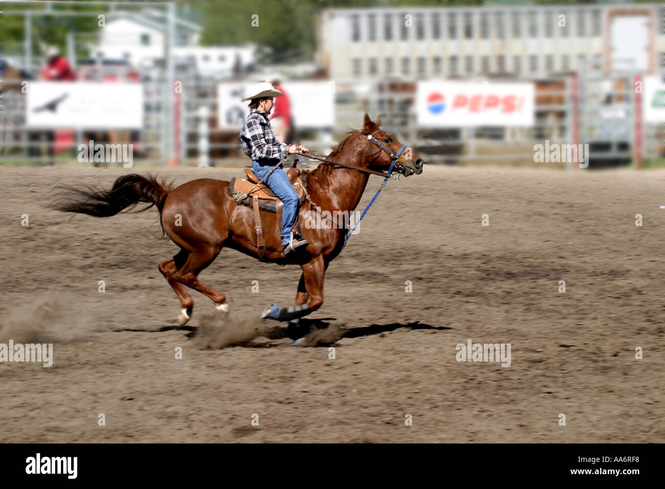 Rodeo Alberta Canada Barrel racing Stock Photo Alamy