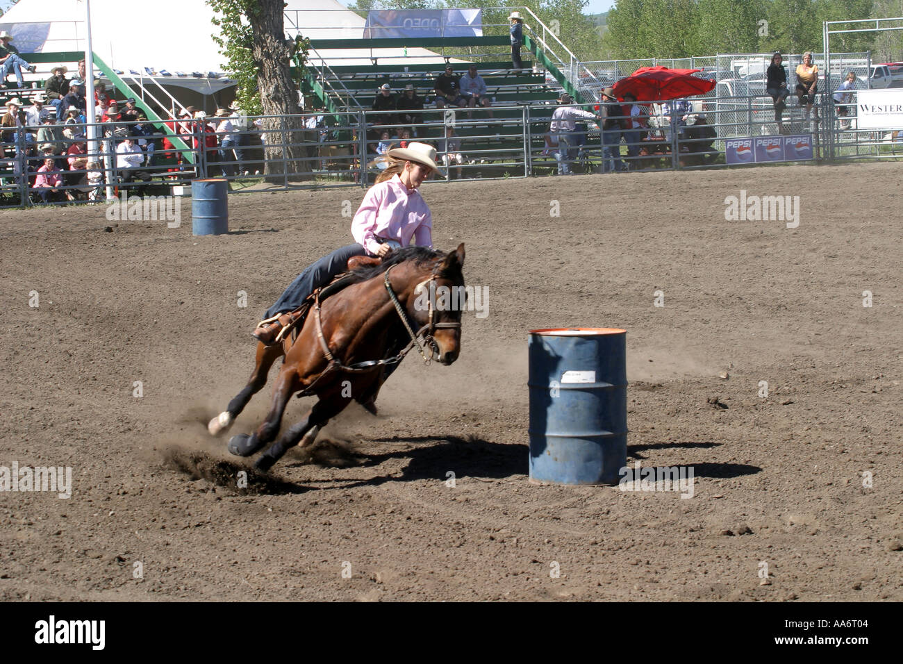 Black tears horse hires stock photography and images Alamy