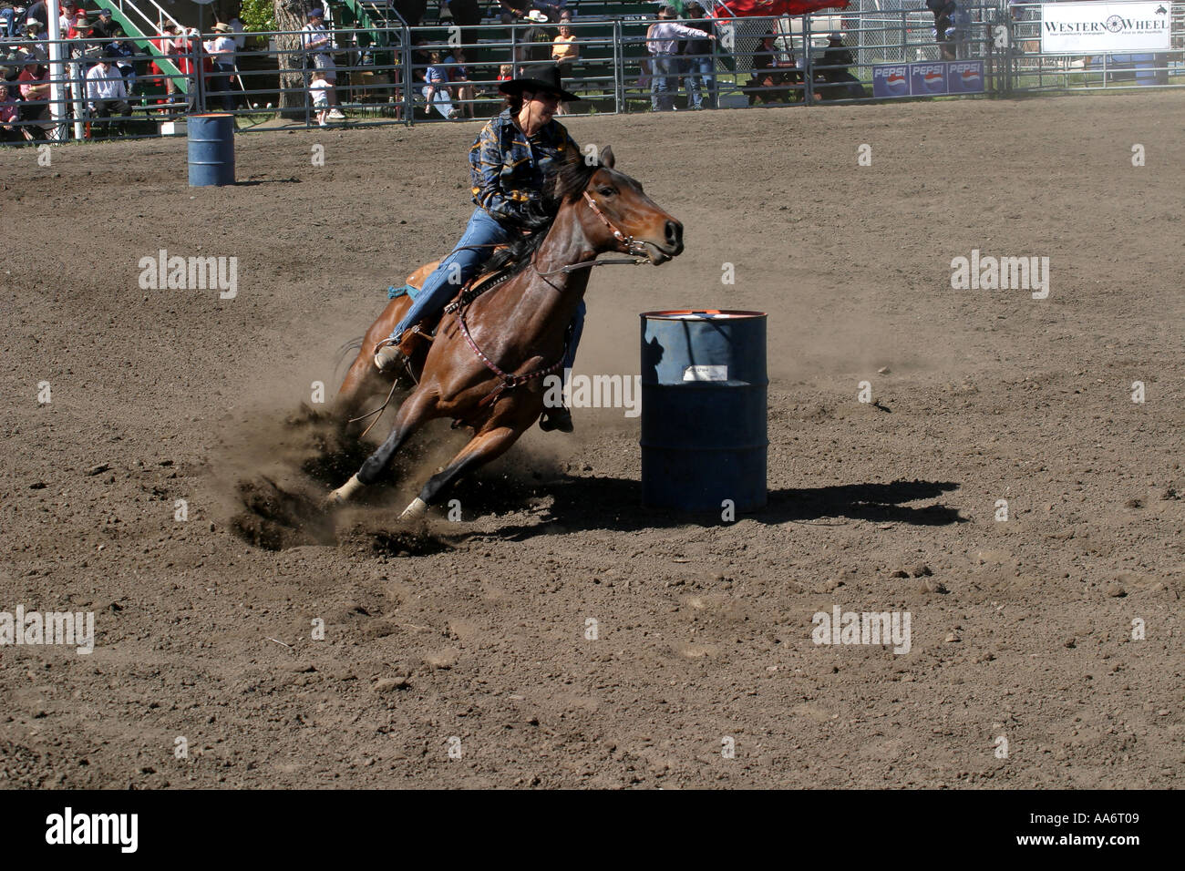Rodeo Alberta Canada Barrel racing Stock Photo Alamy