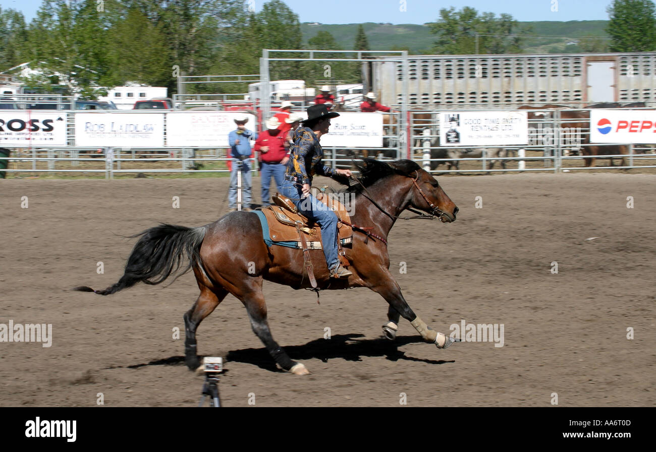Rodeo Alberta Canada Barrel racing Stock Photo Alamy
