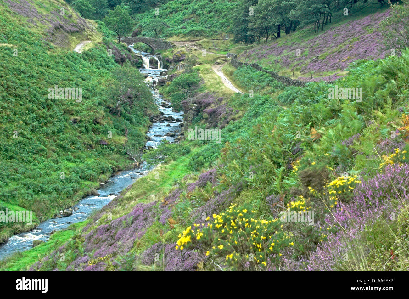 River Dane near Three Shires Head in the Peak District Stock Photo